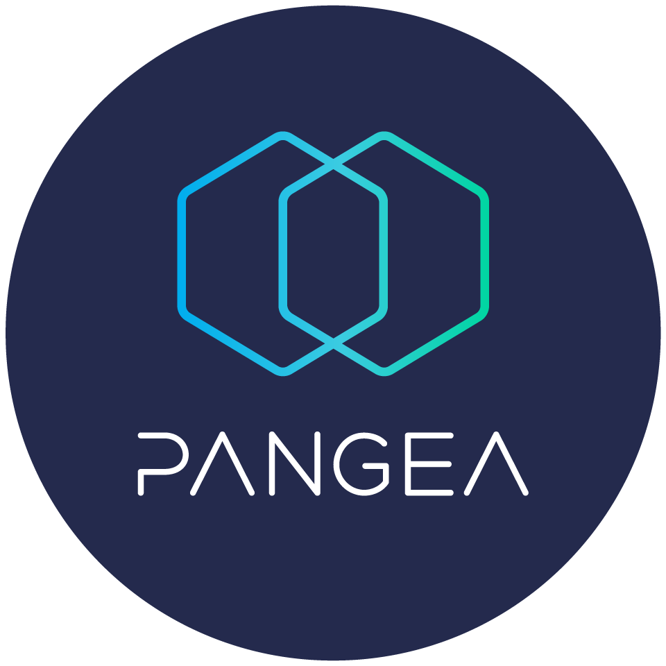 Pangea-Illustrations_PangeaTeam - Pangea